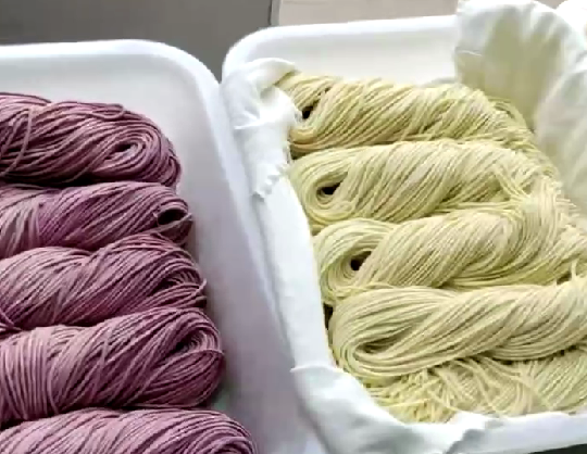 果蔬雜糧面條機怎么使用 果蔬雜糧面條機怎么使用