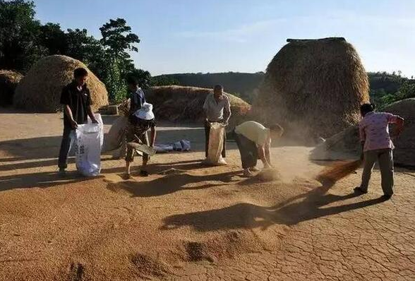 年輕人花拳繡腿，吹噓用包子機可以做老面包子？