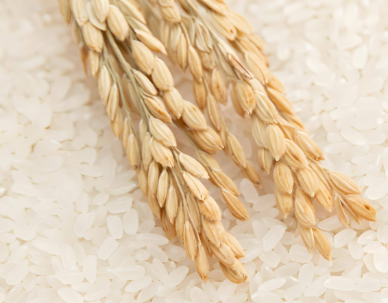 1738821163291044.png image.png